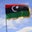 Ali Elrayes's profile image