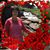 Claudia Harper's profile image
