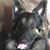 Kay Moss Hawkins's profile image