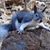 Dennis Duplanty's profile image