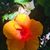 Nanci Noffsinger's profile image