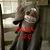 John S Yarbrough's profile image