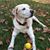 Betsy Herzog's profile image