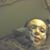 Emily Solis's profile image
