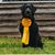 Tena Boyd Corbin's profile image