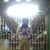 Miguel Duprey's profile image