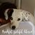 Linda Dolowy's profile image