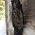 Jean-Francois Gauvin's profile image