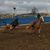 Sara Johnston-Newham's profile image