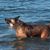 Debi Johnson's profile image
