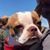 Adam Buckmaster's profile image