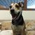 Deanna Crask's profile image