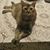 Rosie Guidry's profile image