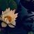 Carolyn Young's profile image