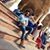 Shaurya Singh's profile image