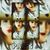 Beatriz Flores's profile image