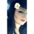 Erica Martinez's profile image