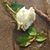 Deb Butler Warren's profile image