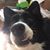 Brandy Ryals's profile image