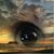 Mary Alice Hassett's profile image