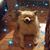 Diane Halseth's profile image