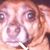 Berwyn Jim's profile image