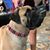 Christine Williams Schermerhorn's profile image
