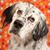 Barbie Clemens's profile image