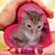 Jennifer Buschner's profile image