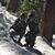 Massiel Gomez Plascencia's profile image