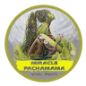 Miracle P.'s profile image