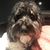 Amy Brown's profile image