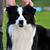 Damo Hooper's profile image
