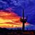 Terry Schreier O'Grady's profile image