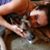 April Marie Malfa's profile image