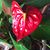 Cynthia Juettner's profile image