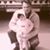 Marianne Groth's profile image