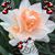 Lynn Brinley's profile image