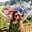 Jashira Torres's profile image