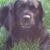 Joyce Farrell Boone's profile image