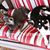 Brenda Linebarier Bowman's profile image