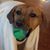 April Rose Feldman's profile image