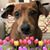 Kay Maas's profile image