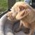 Babette Sisler's profile image