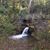 Bethanne Hammel Robinson's profile image
