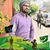 Maher Ahmad Iftakhar's profile image