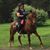 Darlene Harenberg-Gaegler's profile image
