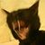 Robert James's profile image