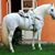 Adan Flores's profile image