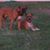 Cheryl Kimble's profile image